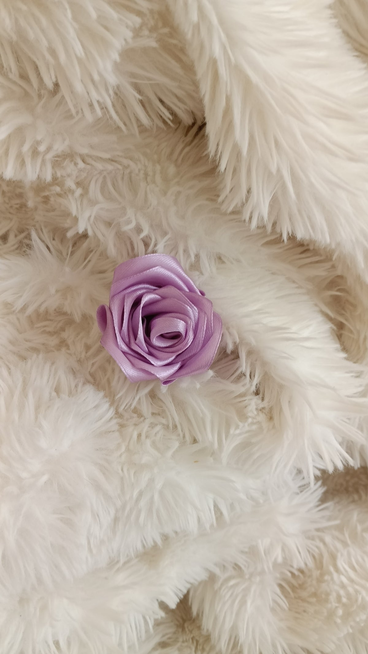 rose a l'unité