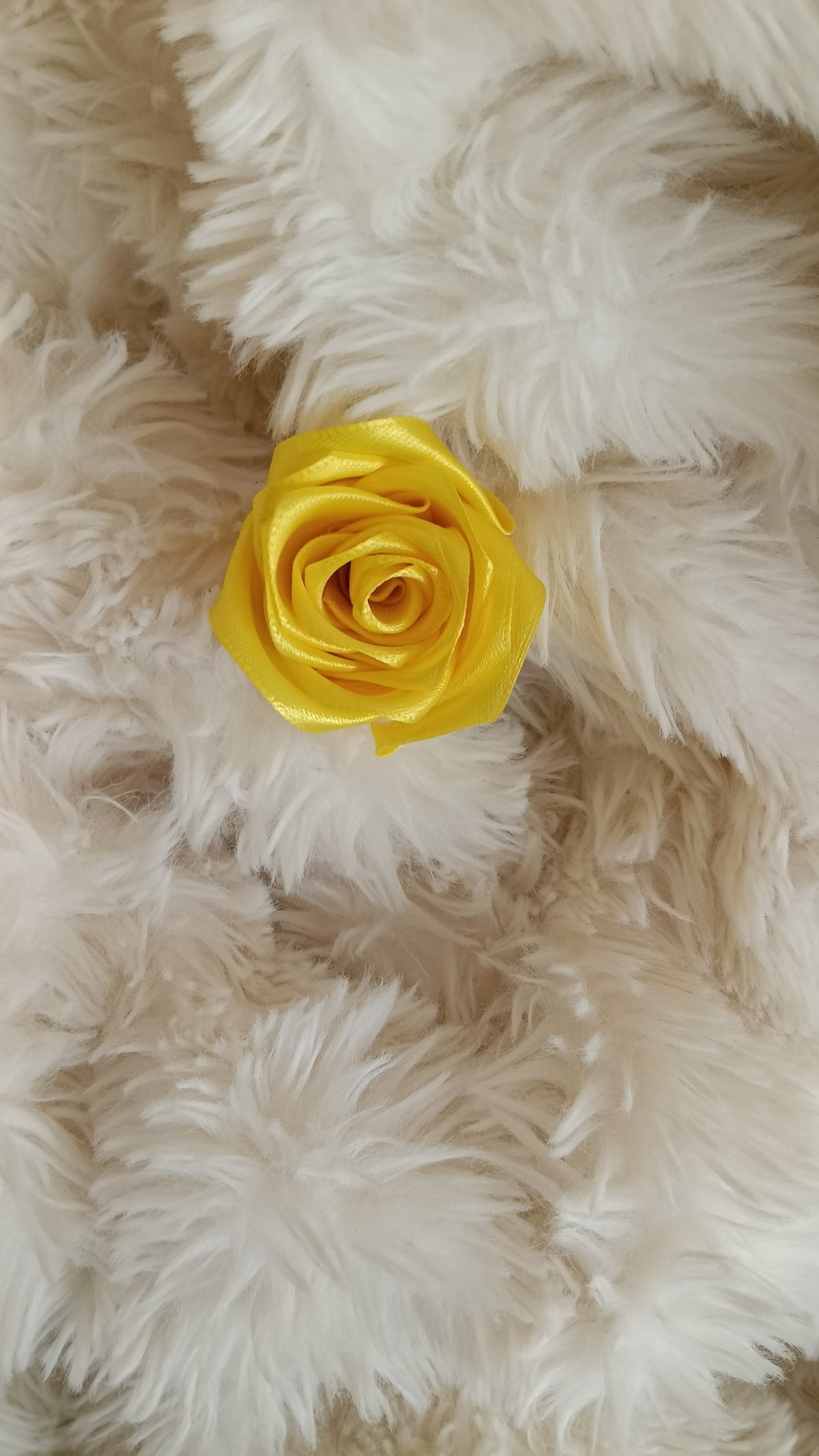 rose a l'unité