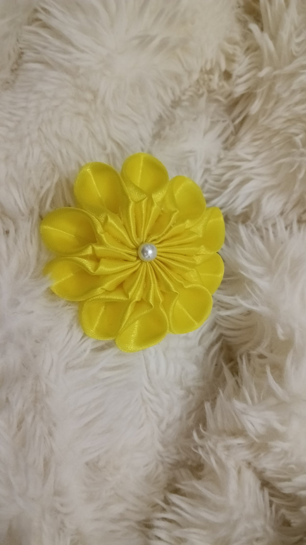 Fleurs rosace