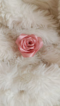 rose a l'unité