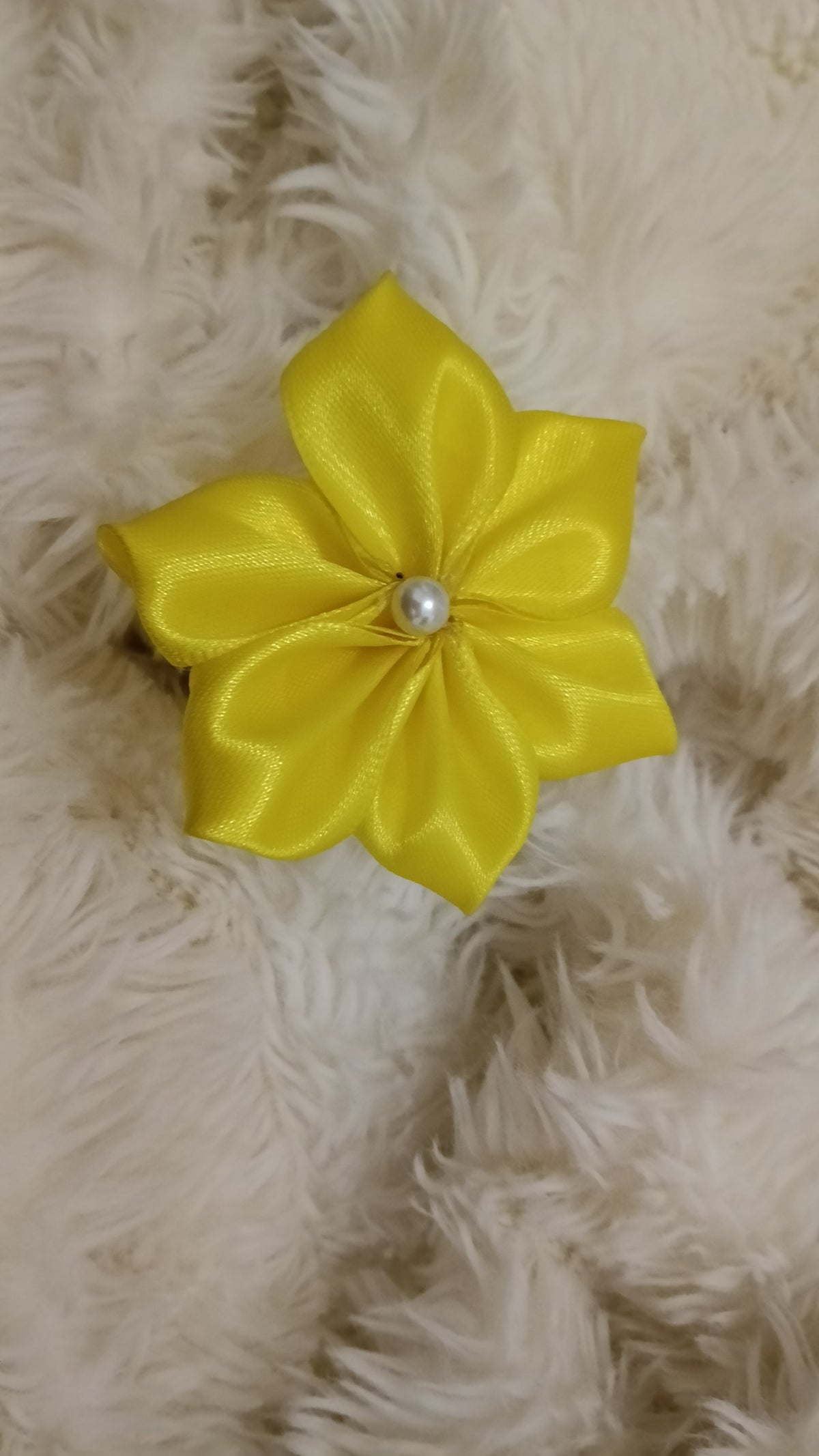 Fleurs étoile