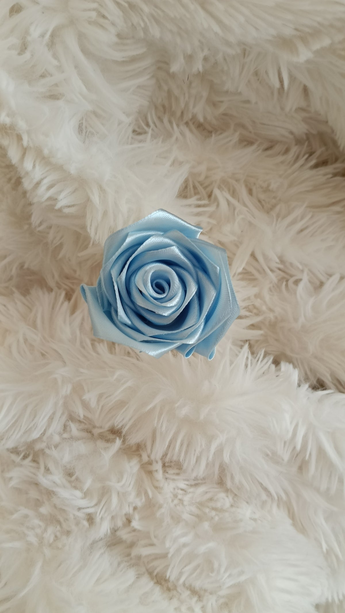 rose a l'unité