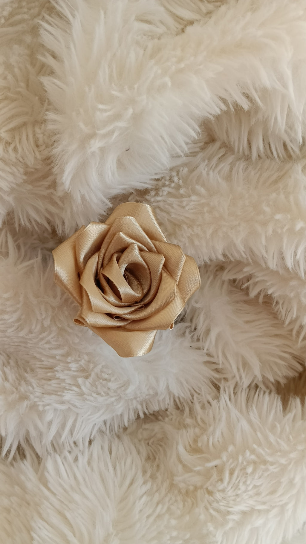 Rose en satin🌹