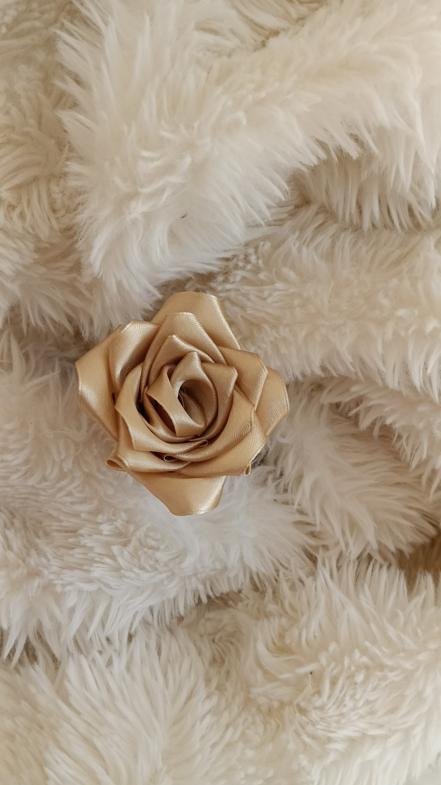 Rose en satin🌹